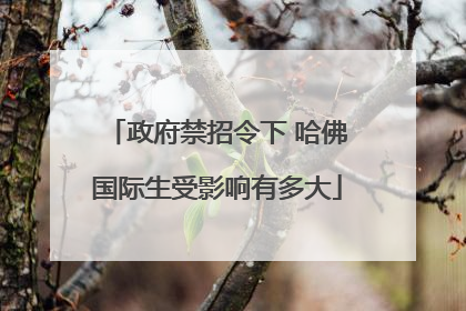 政府禁招令下 哈佛国际生受影响有多大